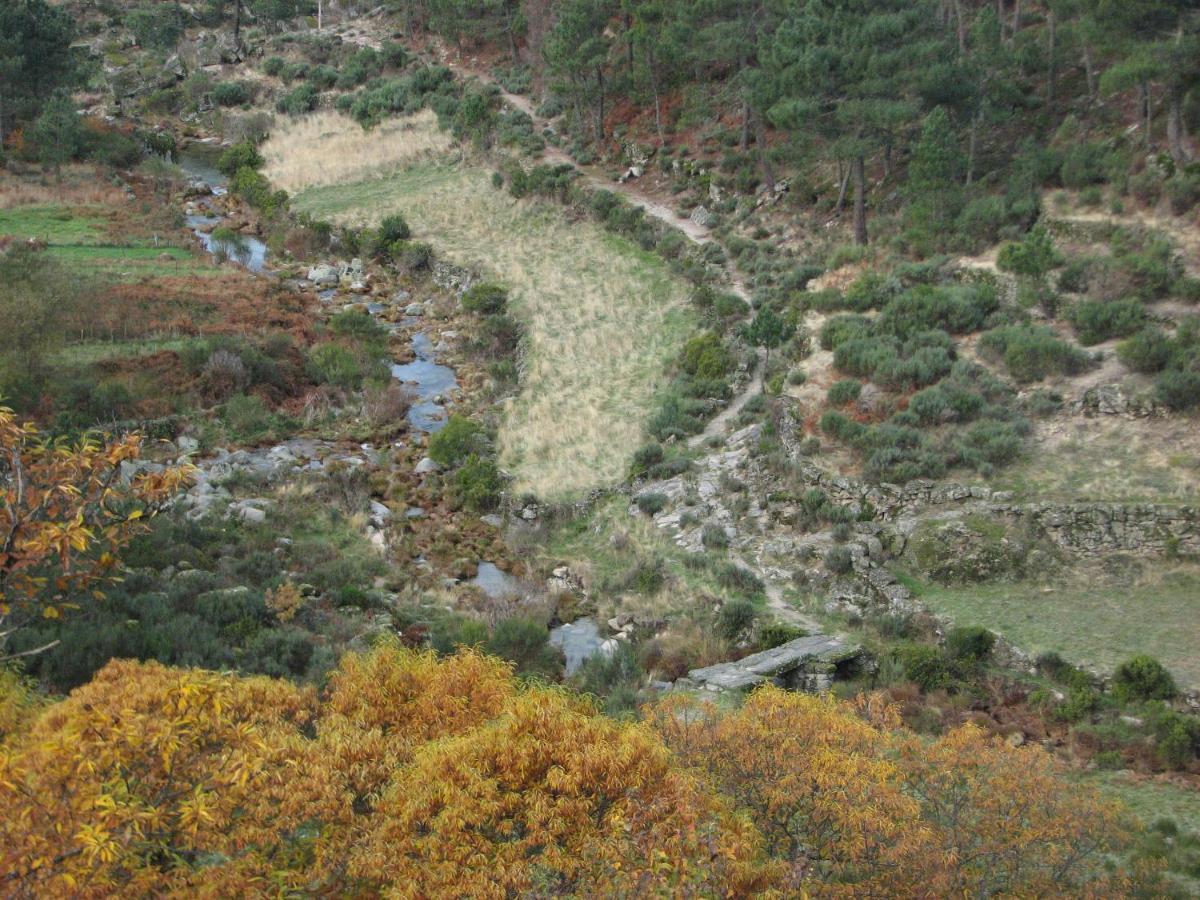 Sambuc'Asa - Serra Da Estrela 사부게이루 외부 사진